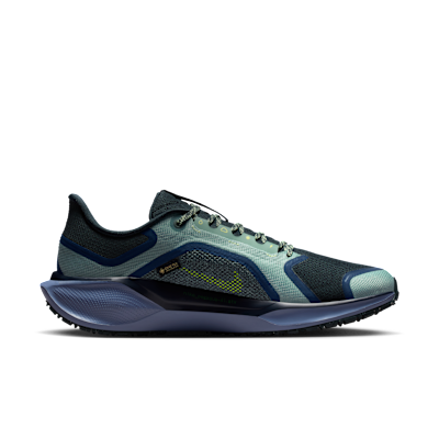 Nike Pegasus 41 GORE-TEX