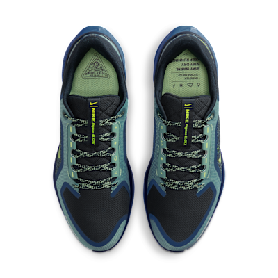 Nike Pegasus 41 GORE-TEX