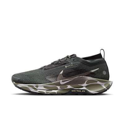 Nike Pegasus Trail 5 GORE-TEX